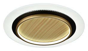 {{productViewItem.photos[photoViewList.activeNavIndex].Alt || productViewItem.photos[photoViewList.activeNavIndex].Description || 'Накладной светильник Sonex Sunny 7731/80L'}}