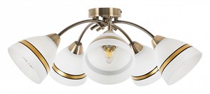 {{productViewItem.photos[photoViewList.activeNavIndex].Alt || productViewItem.photos[photoViewList.activeNavIndex].Description || 'Потолочная люстра MyFar Emily MR1460-5C'}}