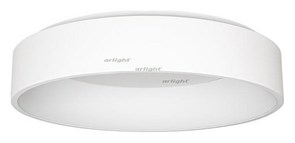 {{productViewItem.photos[photoViewList.activeNavIndex].Alt || productViewItem.photos[photoViewList.activeNavIndex].Description || 'Накладной светильник Arlight SP-TOR-RING-SURFACE-R600-42W Day4000 (WH, 120 deg) 022136(1)'}}