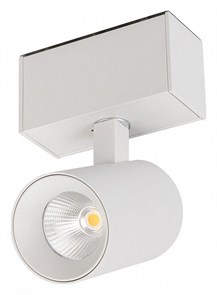{{productViewItem.photos[photoViewList.activeNavIndex].Alt || productViewItem.photos[photoViewList.activeNavIndex].Description || 'Светильник на штанге Arlight MAG-45 30652'}}