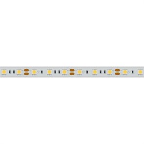 Лента светодиодная Arlight  022325(2)