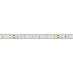 Лента светодиодная Arlight  024562(2)