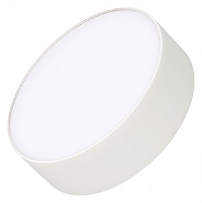 {{productViewItem.photos[photoViewList.activeNavIndex].Alt || productViewItem.photos[photoViewList.activeNavIndex].Description || 'Накладной светильник Arlight RONDO 021777(2)'}}
