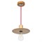 Подвесной светильник G31044/1M WOOD Gerhort - фото 1892668