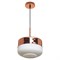Подвесной светильник G51117/1A COP WT Gerhort - фото 1893070