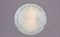 Светильник РС-023 Виктория мат. (д.300) - фото 2110489