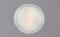 Светильник РС-023 Этруска гл. (д.300) - фото 2110497