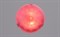 Светильник РС-117 Сегмент рубин (д.300) - фото 2110564