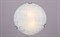 Светильник РС-023 Оазис гл. (д.300) - фото 2110792