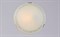 Светильник РС-023 Этруска мат. (д.250) - фото 2110797