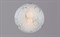 Светильник РС-023 Кольца гл. (д.300) - фото 2110866