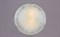 Светильник РС-023 Витас гл. (д.300) - фото 2192526