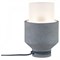 Настольная лампа декоративная Paulmann Helin 79619 - фото 2495582