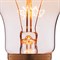 Лампа накаливания Loft it Edison Bulb E27 60Вт 2700K 1004 - фото 2519803