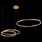 Подвесной светильник Loft it Ring 10017/3S - фото 2520743
