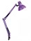 KD-312 C12 фиолетовый Настольный светильник на струбцине Camelion 12341 - фото 2523098