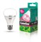 LED10-PL/BIO/E27 Светодиодная лампа для растений Camelion 13241 - фото 2523304