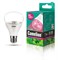 LED15-PL/BIO/E27 Лампа светодиодная для растений Camelion 12770 - фото 2523319