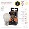 Лампа светодиодная Эра F-LED E27 9Вт 2700K Б0047024 - фото 2524927