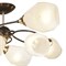 Люстра потолочная Wedo Light FALCZES 66598.01.15.08 - фото 2536152 Люстра потолочная Wedo Light FALCZES 66598.01.15.08 - фото 2536152