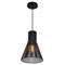 Подвесной светильник G51121/1BK BK Gerhort - фото 2555097