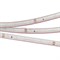 Лента светодиодная Arlight RTW 2-5000PS-50m 24V Warm2700 (3528, 60 LED/m, LUX) 024566 - фото 2700301