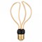 Лампа светодиодная Thomson Deco E27 8Вт 2700K TH-B2385 - фото 2706553