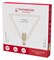 Лампа светодиодная Thomson Deco Triangle E27 12Вт 2700K TH-B2400 - фото 2706648