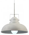 Подвесной светильник Arte Lamp Martin A5213SP-1WG - фото 2773497