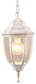 Подвесной светильник Arte Lamp Pegasus A3151SO-1WG - фото 2773685