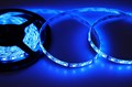 Лента светодиодная [5м] SMD 5050 141-499 - фото 2776194