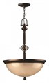 Подвесной светильник Hinkley Mayflower HK-MAYFLOWER-P-C - фото 3091466
