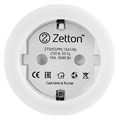 Розетка умная Zetton ZTSHSPS2S2 ZTSHSSPML16A1RU - фото 3109632