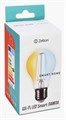 Лампа светодиодная с управлением через Wi-Fi Zetton Smart Wi-Fi Bulb E27 5Вт 2200-6500K ZTSHLBWCWE271RU - фото 3109642