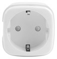Розетка умная Zetton ZTSHSPS2S2 ZTSHSS16A1RU - фото 3109656