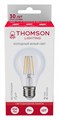 Лампа светодиодная Thomson Filament A60 E27 9Вт 6500K TH-B2331 - фото 3110462