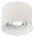 Накладной светильник SIMPLE STORY 2059 2059-LED12CLW - фото 3111532