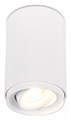 Накладной светильник SIMPLE STORY 2065 2065-1CLW - фото 3111567