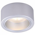 Накладной светильник Arte Lamp Effetto A5553PL-1GY - фото 3218499
