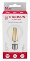 Лампа светодиодная Thomson Filament A60 E27 13Вт 2700K TH-B2367 - фото 3345847