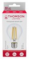 Лампа светодиодная Thomson Filament A60 E27 13Вт 6500K TH-B2369 - фото 3345856