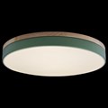 Накладной светильник Loft it Axel 10001/36 Green - фото 3371859