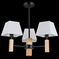 Люстра потолочная ILLUMICO E14  IL0026-3PSQ-19 BK WD - фото 3376500 Люстра потолочная ILLUMICO E14  IL0026-3PSQ-19 BK WD - фото 3376500