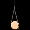 Подвесной светильник Loft it Glob LOFT2599-B - фото 3433529