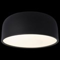 Накладной светильник Loft it Axel 10201/350 Black - фото 3434188