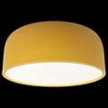 Накладной светильник Loft it Axel 10201/350 Yellow - фото 3434213