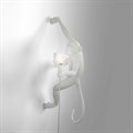 Зверь световой Seletti Monkey Lamp 14879 - фото 3472189 Зверь световой Seletti Monkey Lamp 14879 - фото 3472189