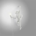 Зверь световой Seletti Monkey Lamp 14879 - фото 3472190 Зверь световой Seletti Monkey Lamp 14879 - фото 3472190