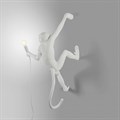 Зверь световой Seletti Monkey Lamp 14879 - фото 3472191 Зверь световой Seletti Monkey Lamp 14879 - фото 3472191