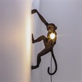 Зверь световой Seletti Monkey Lamp 14919 - фото 3472194 Зверь световой Seletti Monkey Lamp 14919 - фото 3472194
